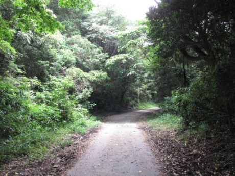 画像17